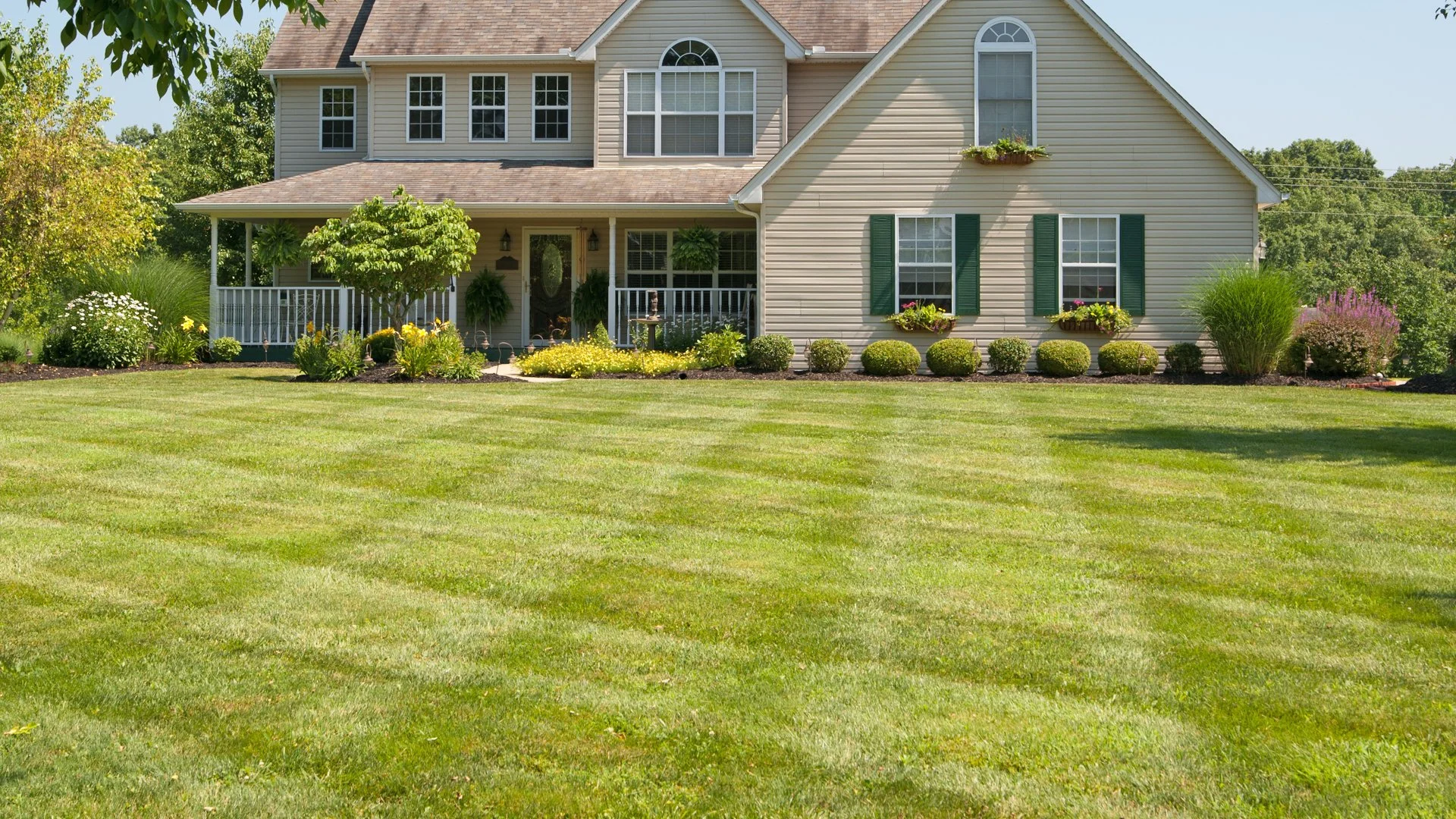 The 1/3 Rule - A Necessary Lawn Mowing Practice