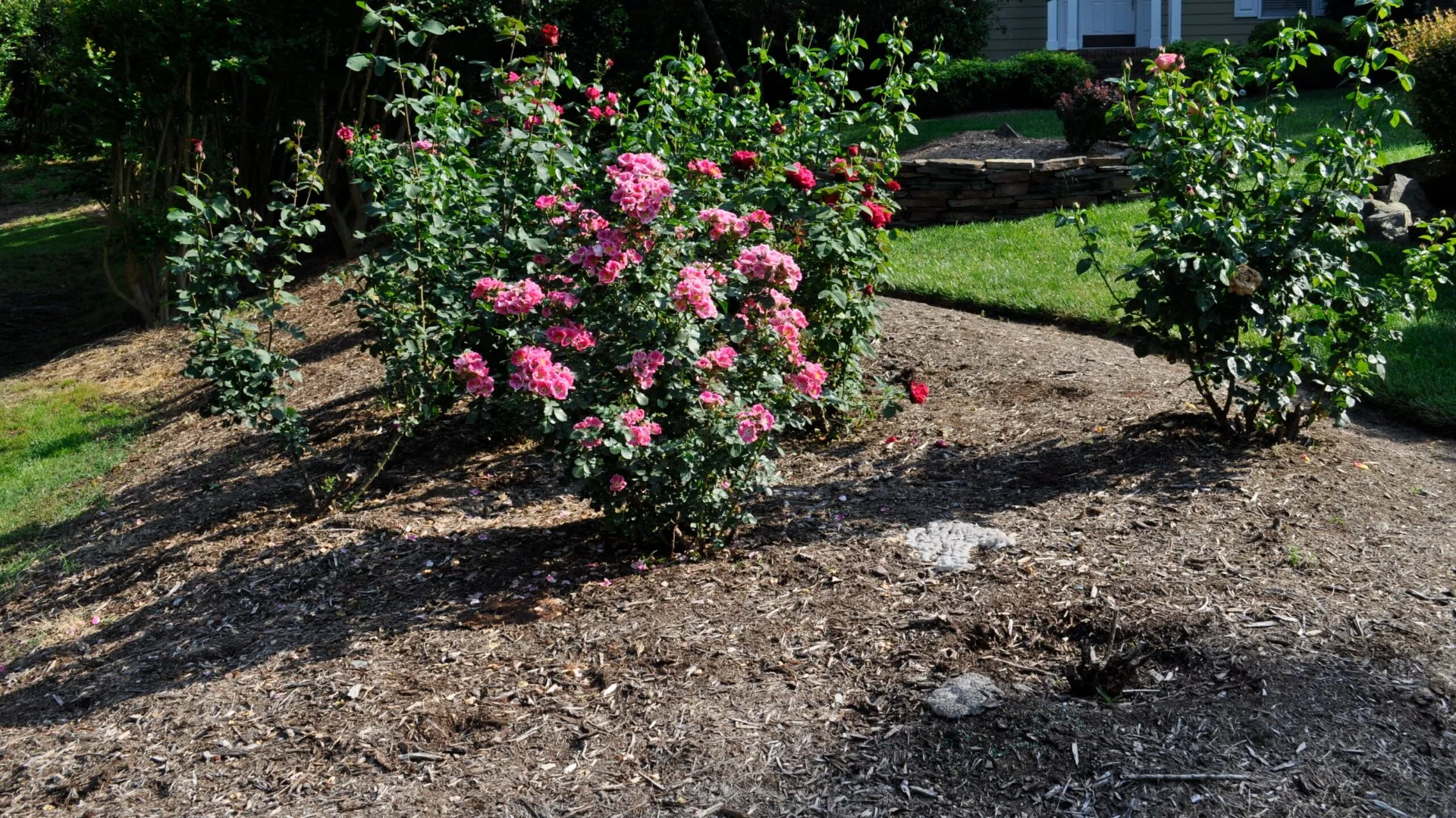 Get the Most Out of Your Mulch - Replenish It Regularly!