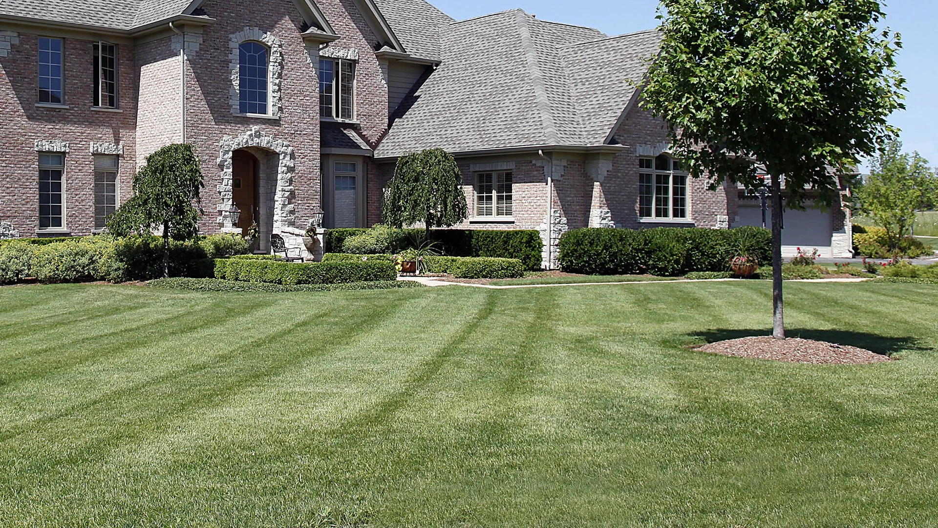 What to Do With Grass Clippings After Mowing - Bagging vs Mulching