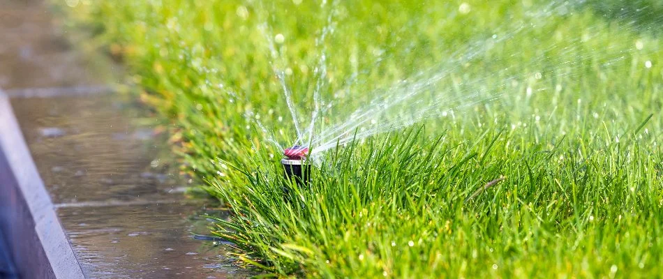 Sprinkler head watering a lawn in Cary, NC.