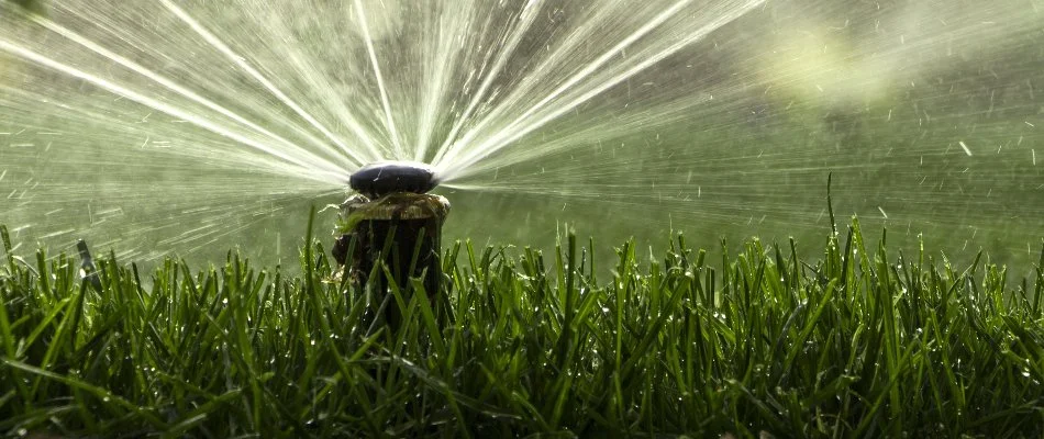 Grass in Governors Village, NC, with irrigation sprinkler head.