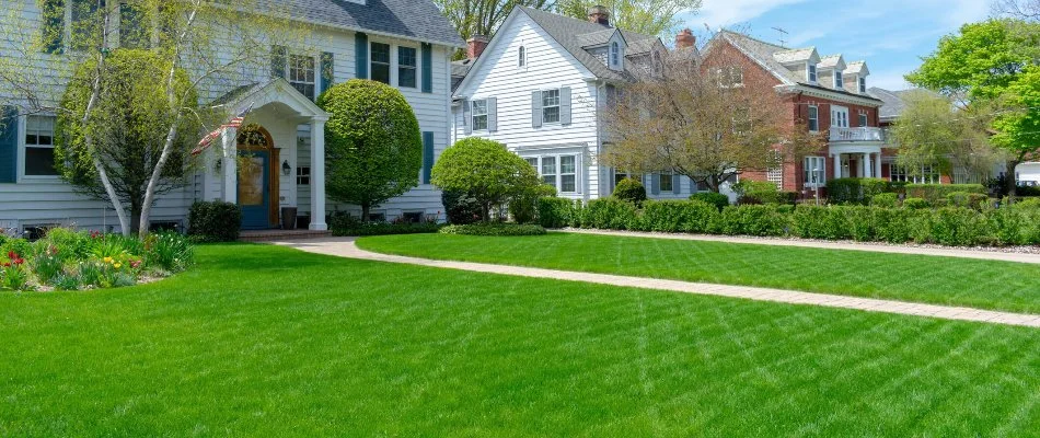 Manicured lawn in front of a home in Oak Grove, NC.