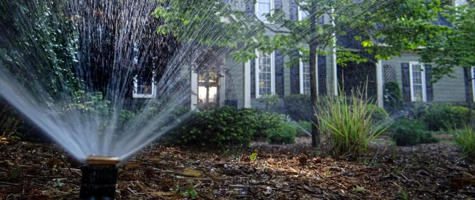 Sprinkler head spraying water in a landscape in Wake Forest, NC.